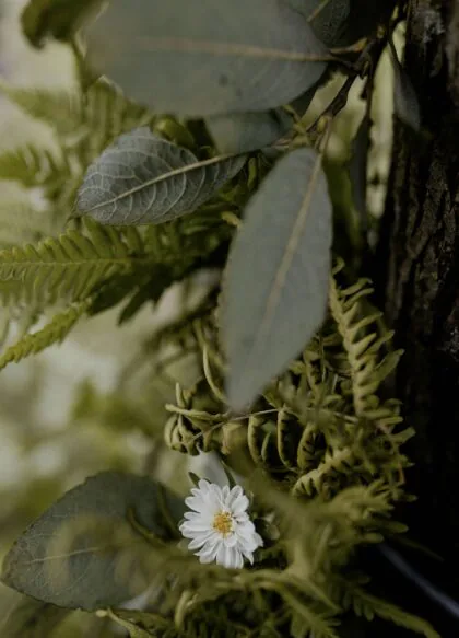 Pytlik & Bąk Fotografia