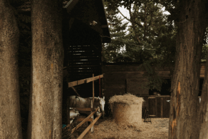 Pytlik & Bąk Fotografia