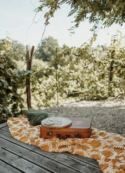 Janet Kaczmarek Photography