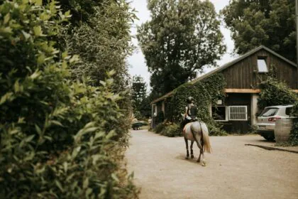 Pytlik & Bąk Fotografia