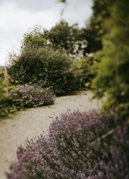 Pytlik & Bąk Fotografia