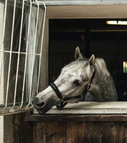 Oaza Leńcze - Kontakt