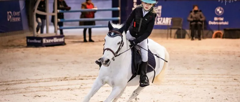 Oaza Leńcze - Konie - Stadnina koni