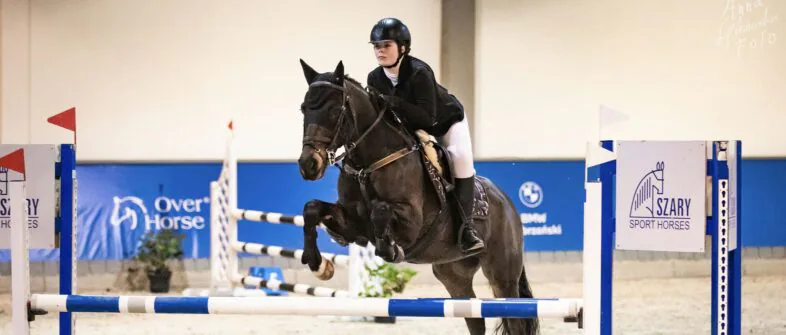 Oaza Leńcze - Konie - Stadnina koni