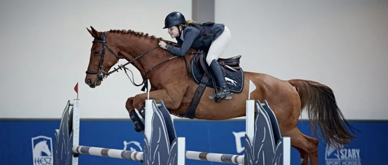 Oaza Leńcze - Konie - Stadnina koni