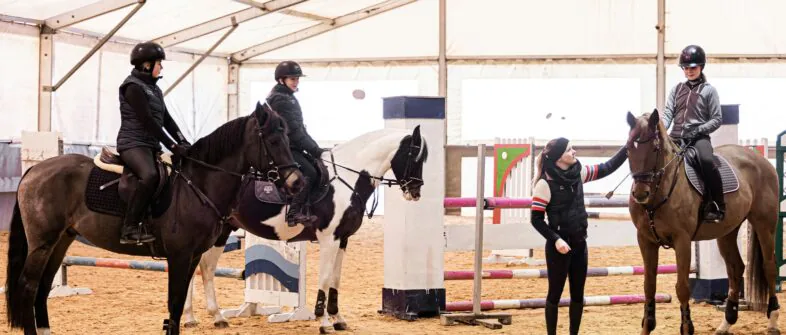 Oaza Leńcze - Konie - Stadnina koni